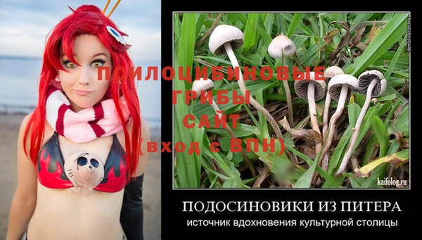 MESCALINE Вяземский